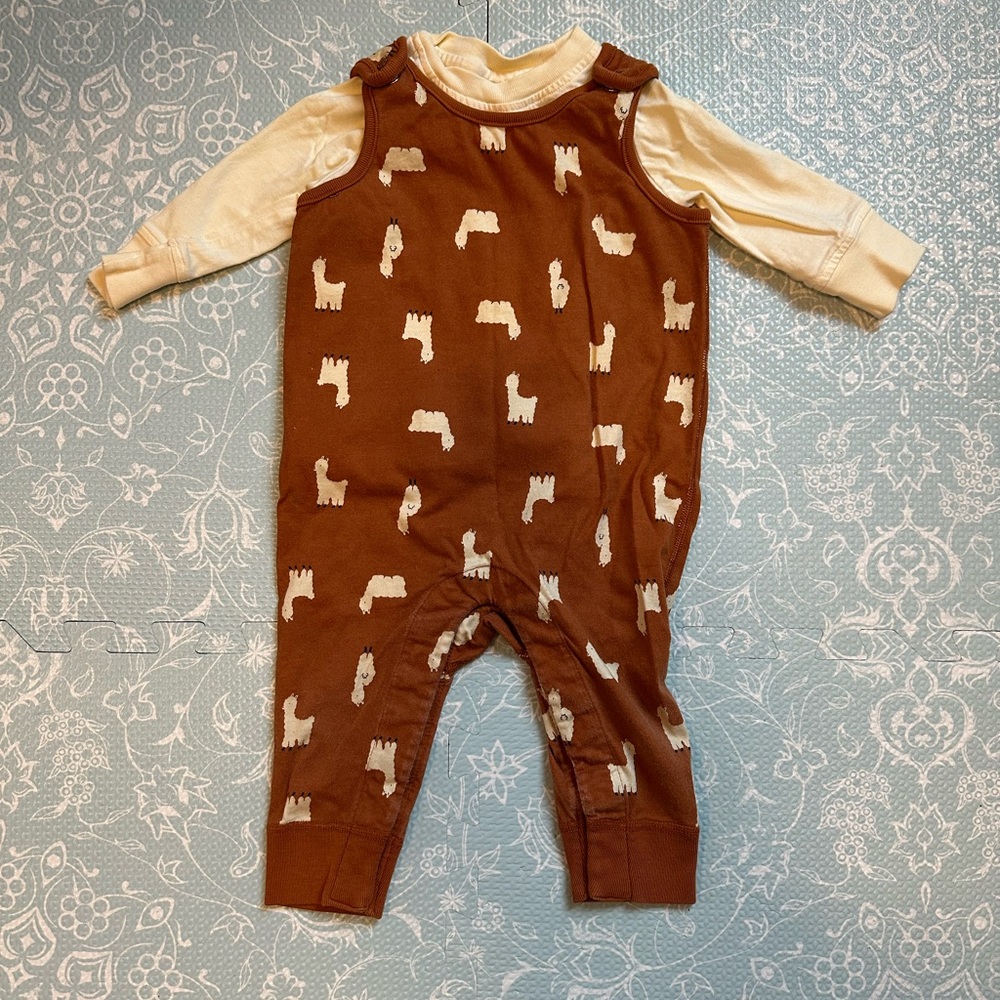 Hanna Andersson Long Sleeve & Overalls Set